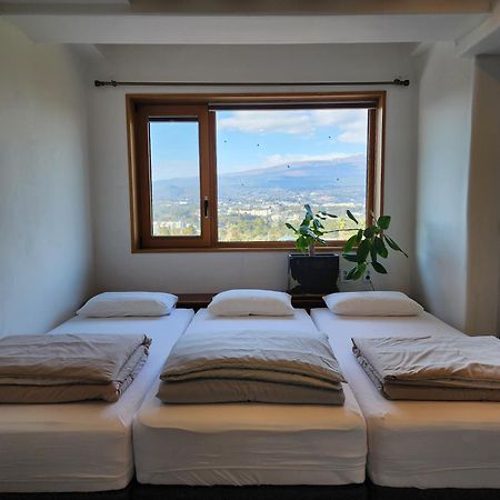 Palm Tree Villa Сеогвипо Екстериор снимка