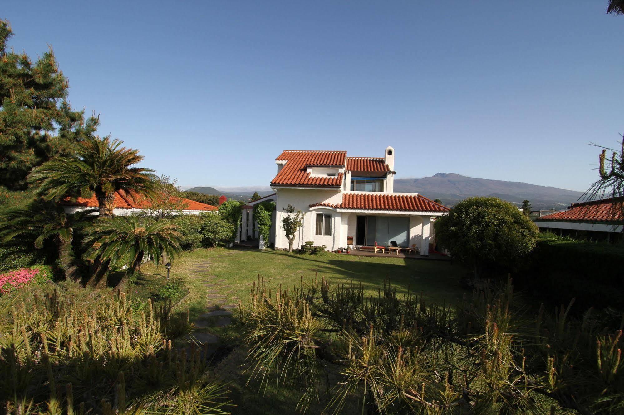 Palm Tree Villa Сеогвипо Екстериор снимка