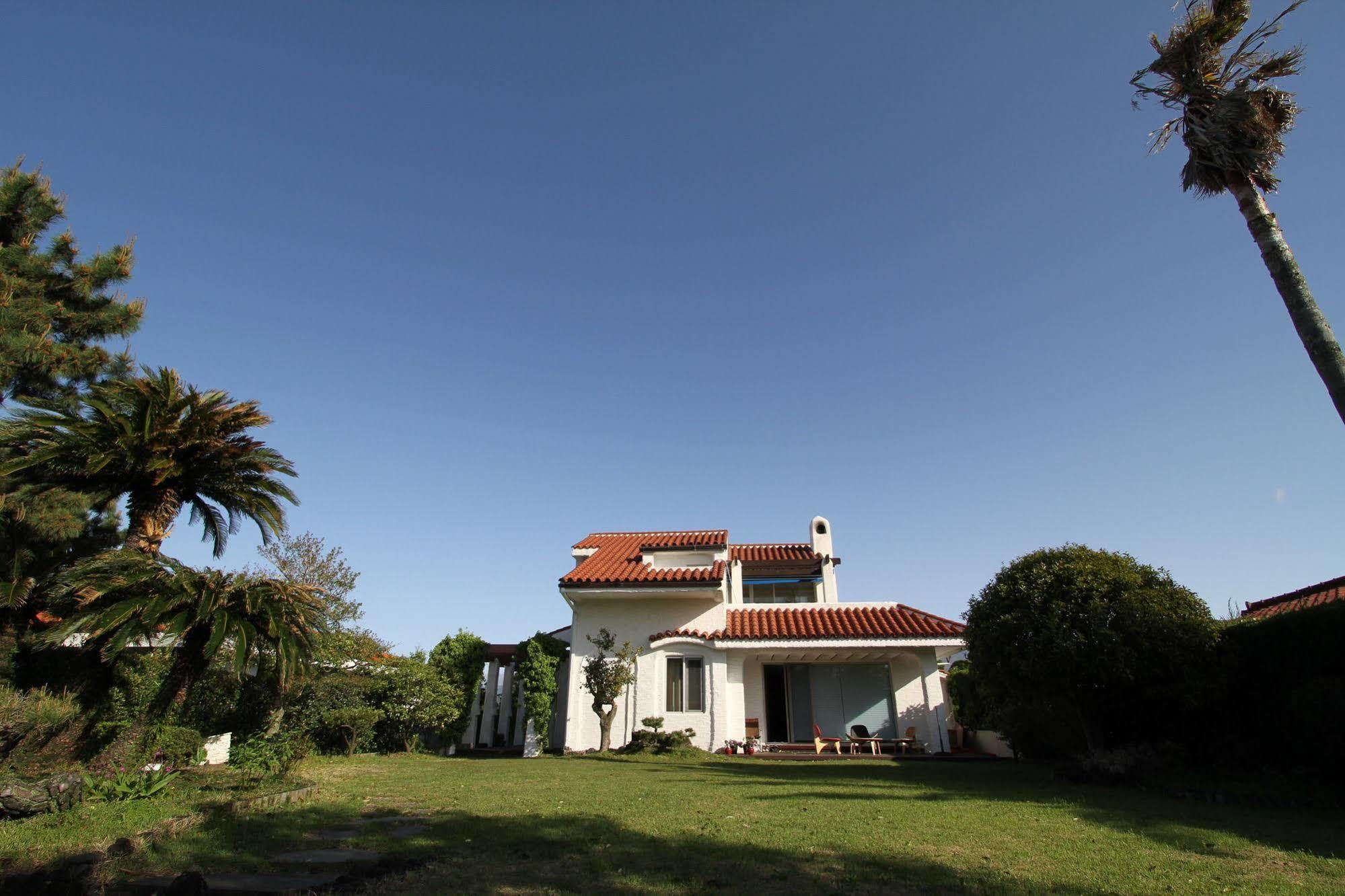 Palm Tree Villa Сеогвипо Екстериор снимка